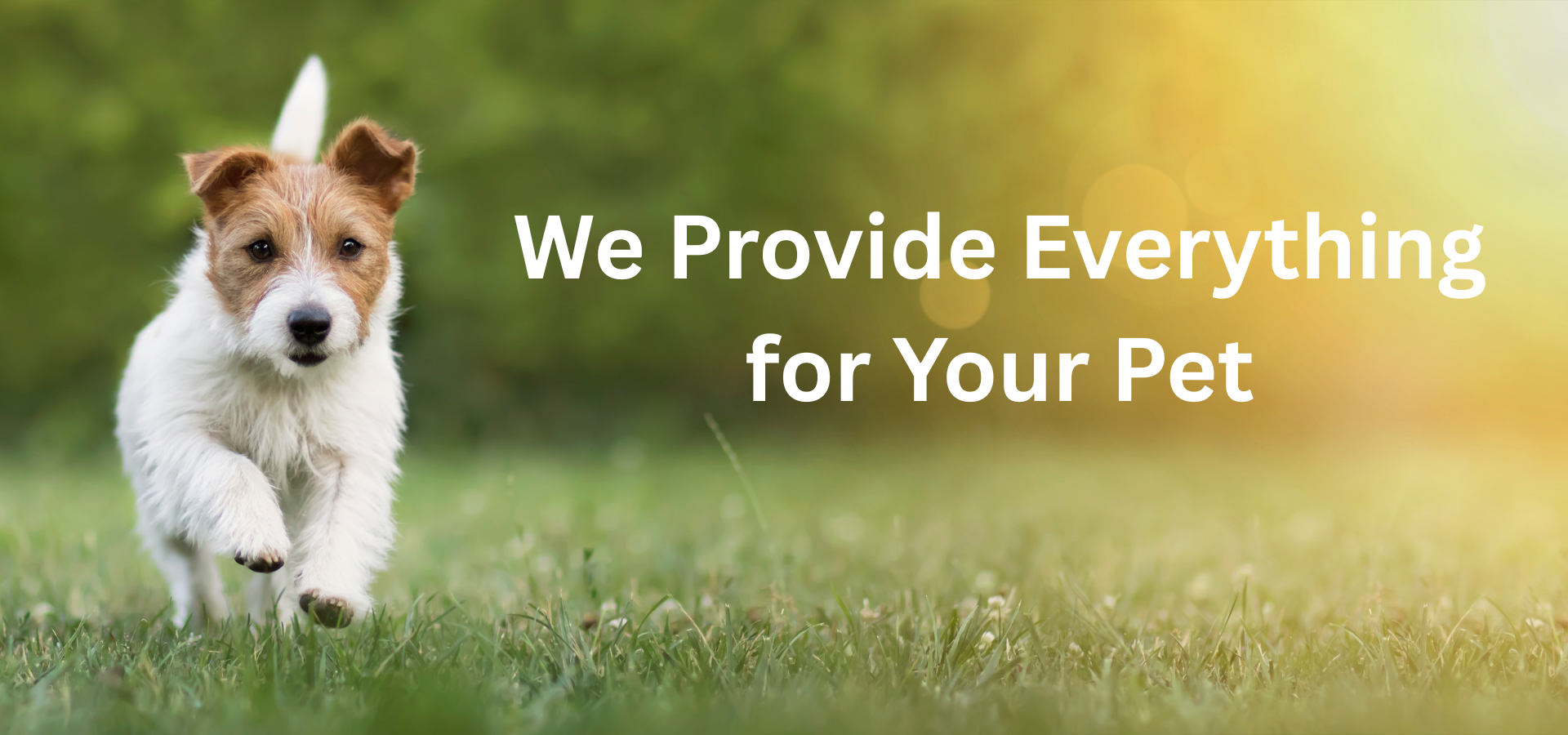 Your One-Stop Petsie Mart Store for Pet Nourishment, Prepping &amp; Open air Gear