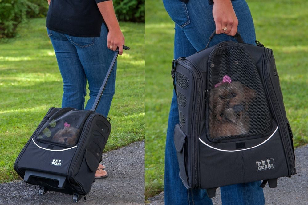 Safe and Airline-Approved Pet Carrier Backpack for Travel