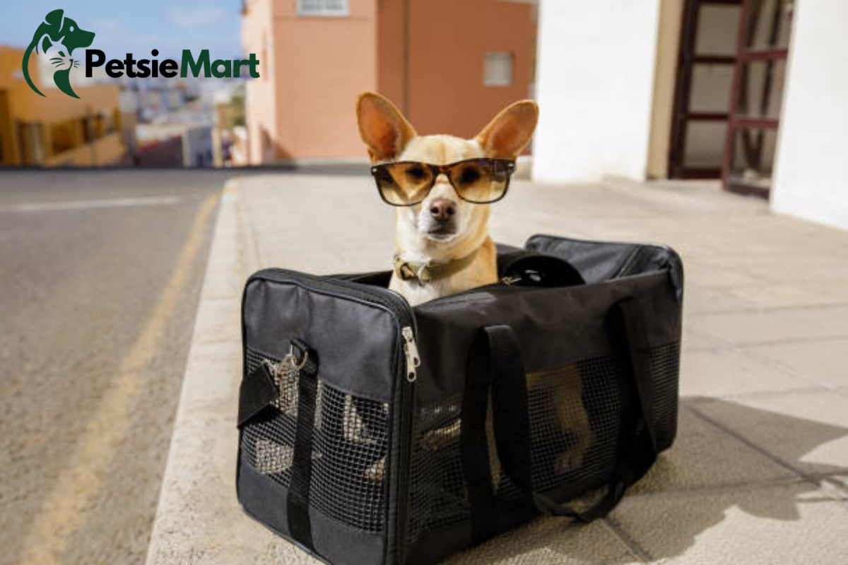  dog carrier 