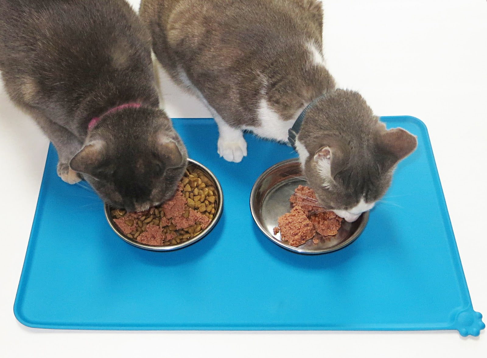 How a Pet Food Mat Keeps Your Home Cleaner and Pets Happier