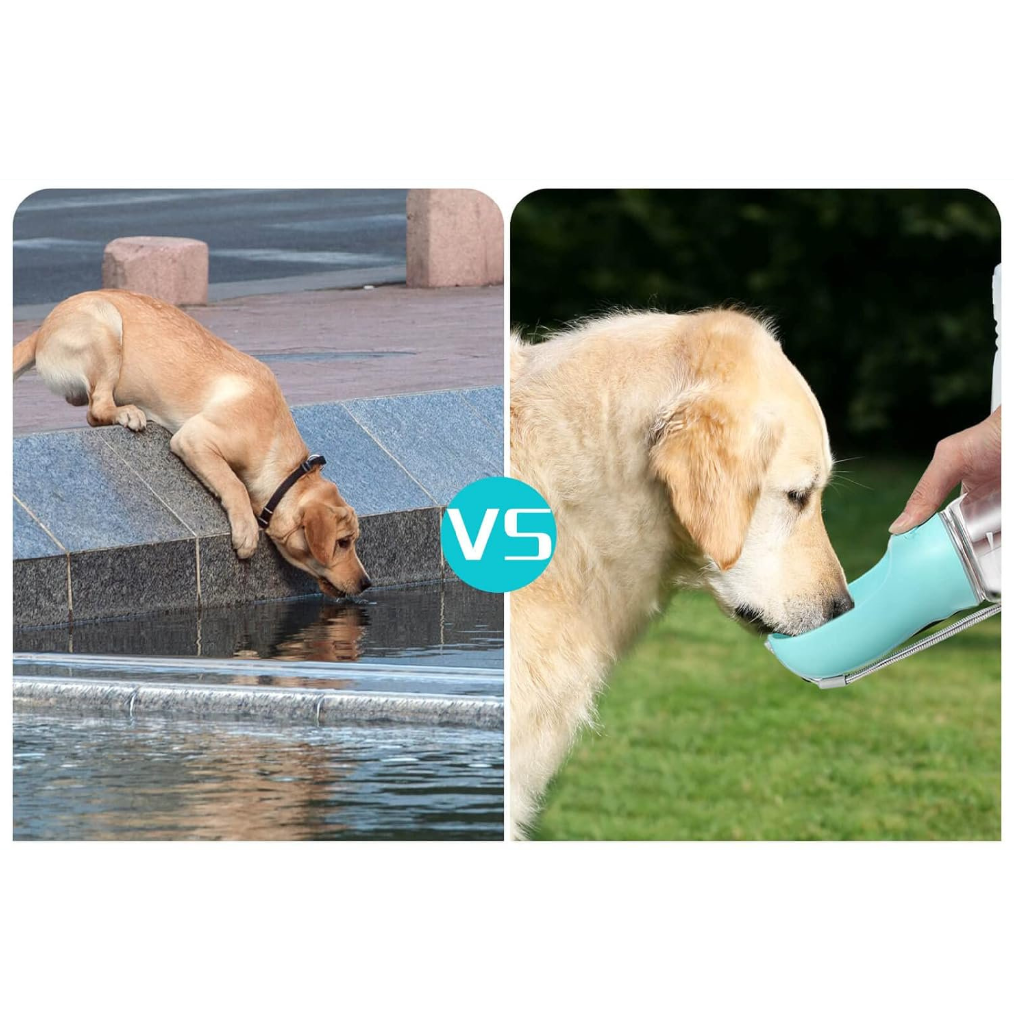Portable Dog Water Bottle – Leak-Proof 19oz Travel Dispenser for Walking, Hiking & Outdoor Adventures