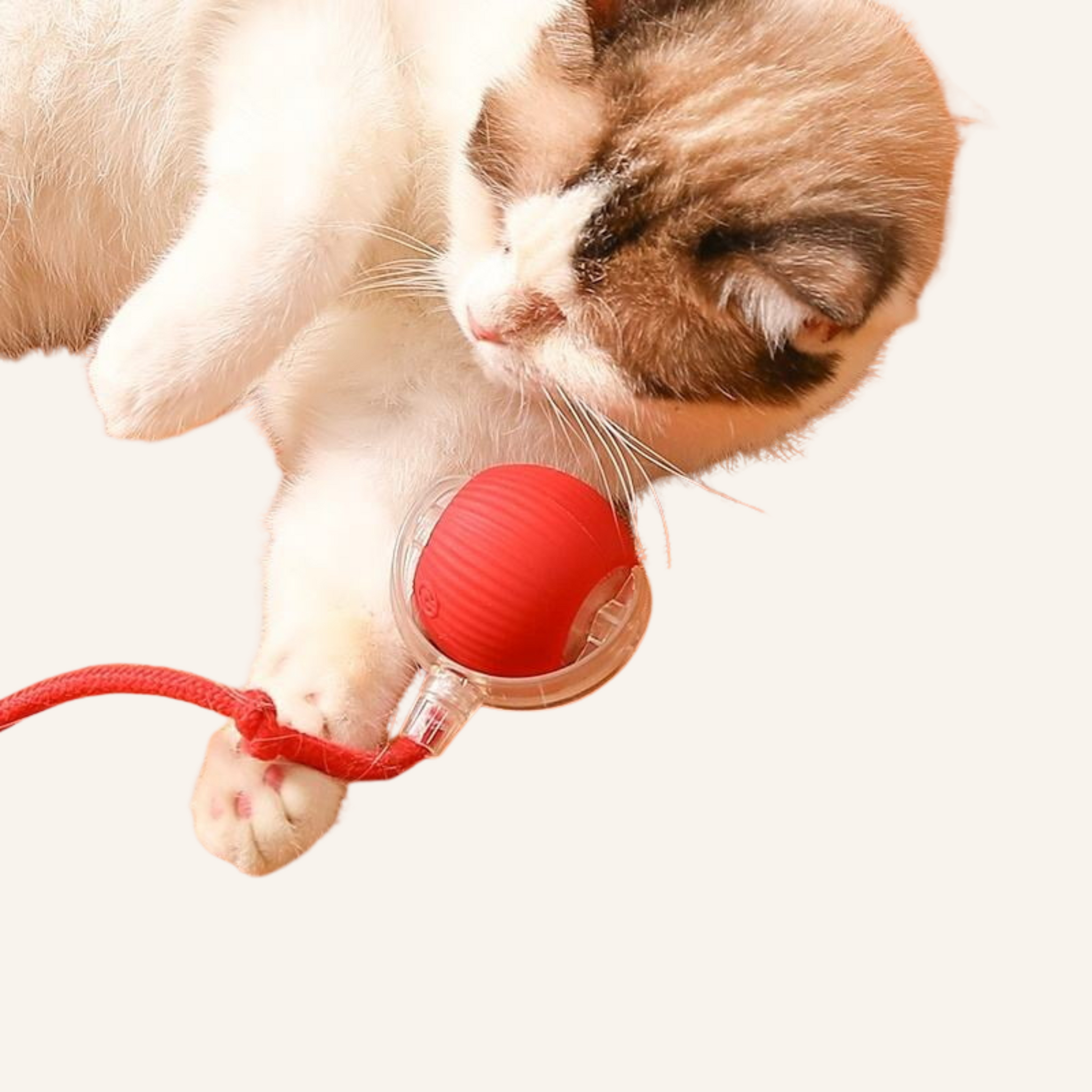 Rechargeable Motion-Activated Cat Toy Ball – Interactive Rolling Toy with Tail for Indoor Cats