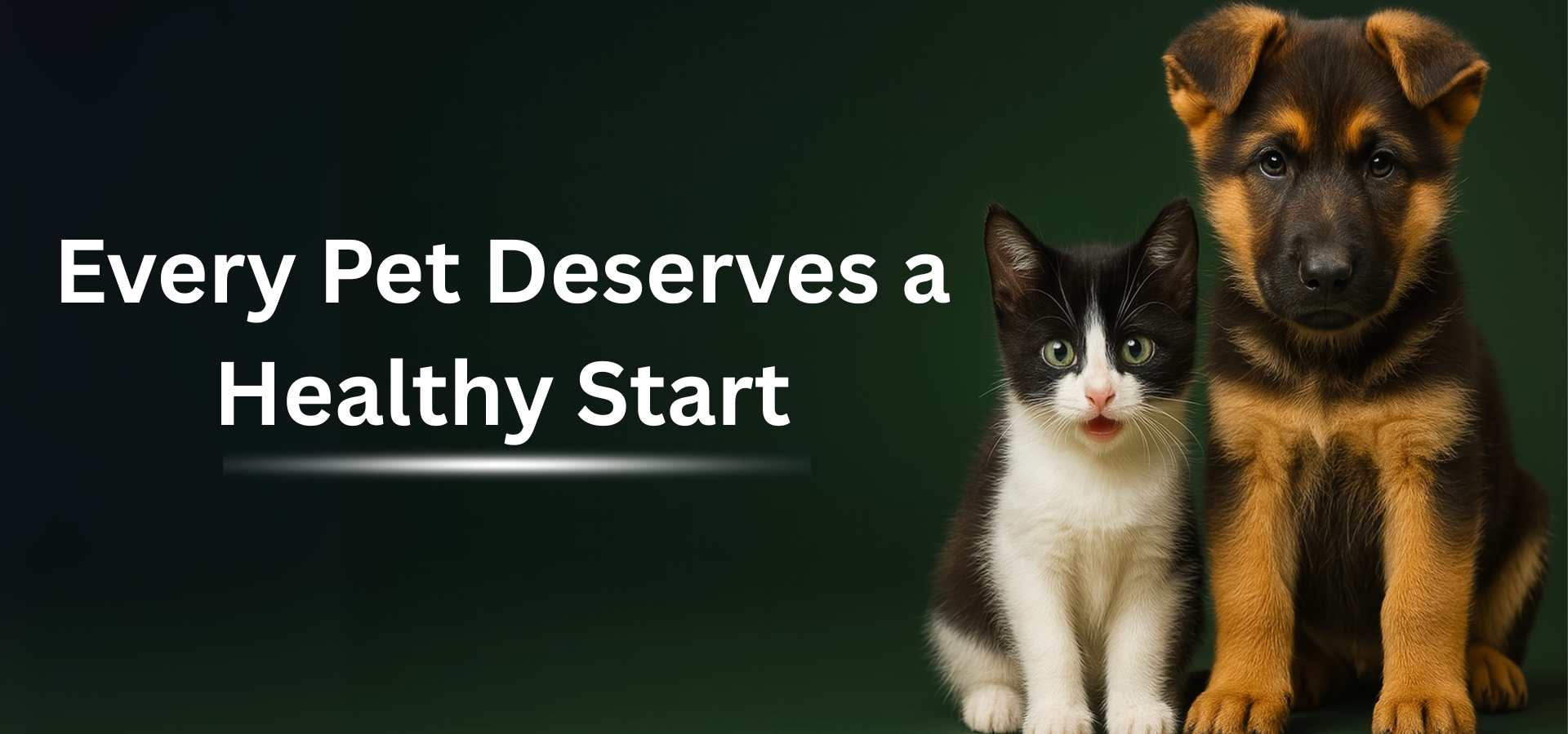 Puppy and kitten with text 'Every Pet Deserves a Healthy Start' on a dark background