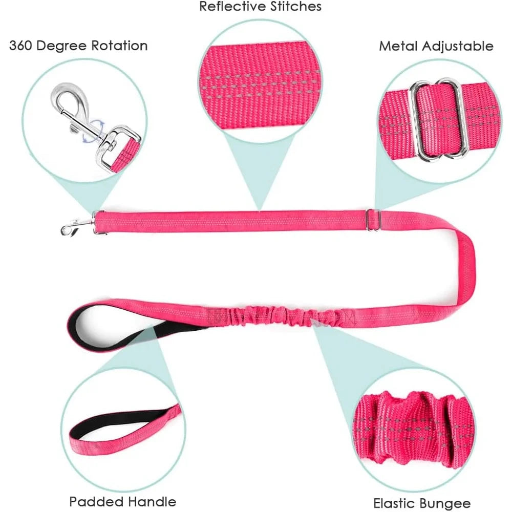 Fit Neck Chest Safe Walking 4Ft Leash