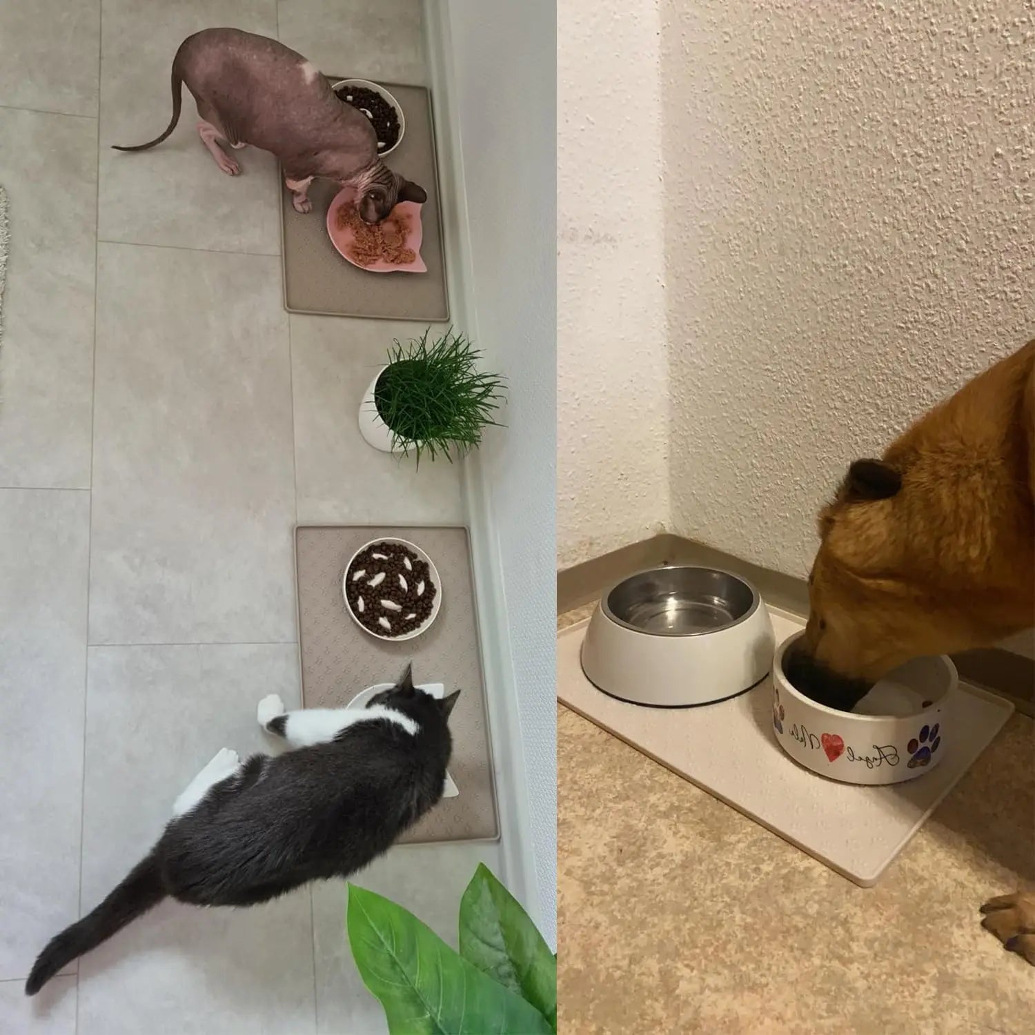 Placemat for Dog and Cat, Mat for Prevent Food and Water