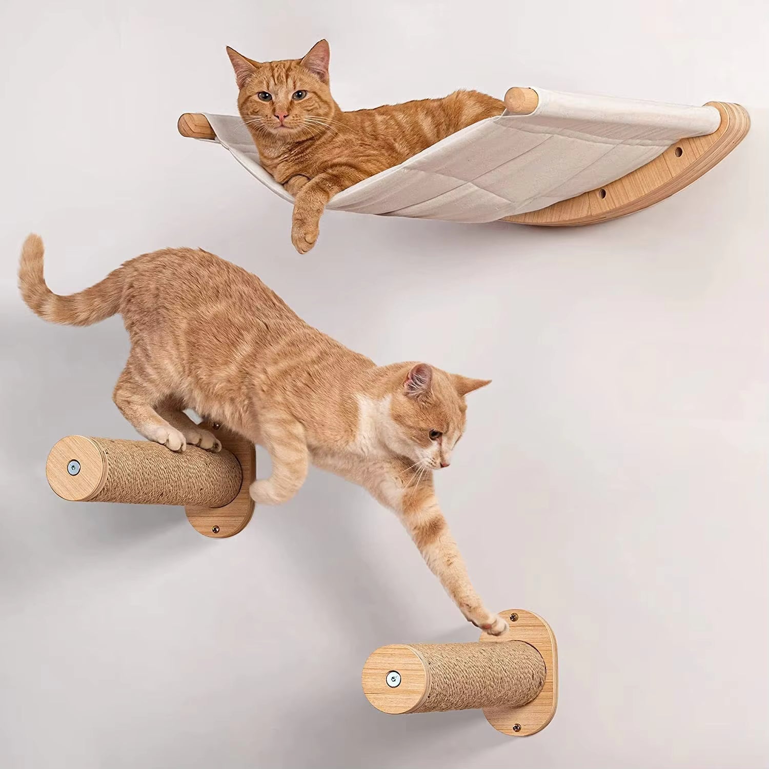 Wall-Mounted Cat Climbing Frame with Wooden Bed & Hammock – Multi-Level Activity Center for Indoor Cats