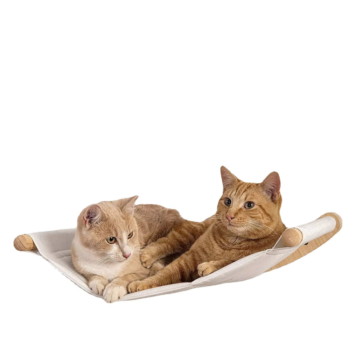 Wall-Mounted Cat Climbing Frame with Wooden Bed & Hammock – Multi-Level Activity Center for Indoor Cats