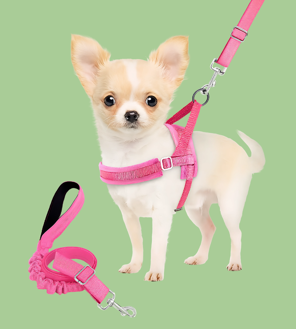 Soft Padded Reflective Dog Harness & Leash Set – Quick Fit
